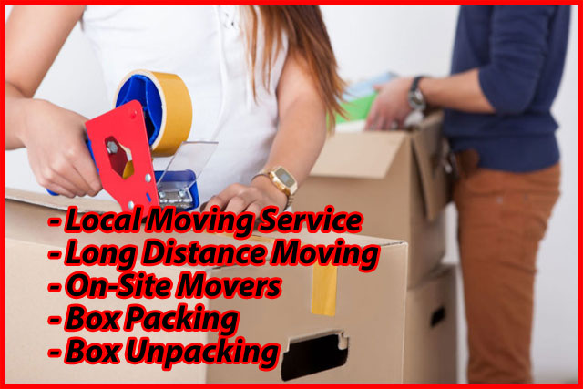 Packers And Movers Noida Sector 157